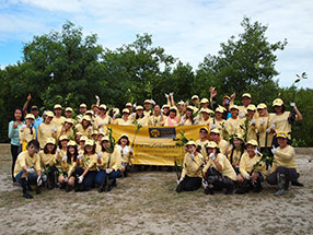 mangrove reforestation activity