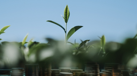 Green Financing เครื่องมือทางการเงินเพื่อพัฒนาโลกไปสู่เศรษฐกิจสีเขียว