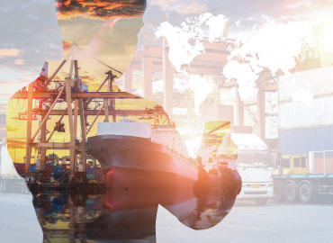 Value Chain Solutions