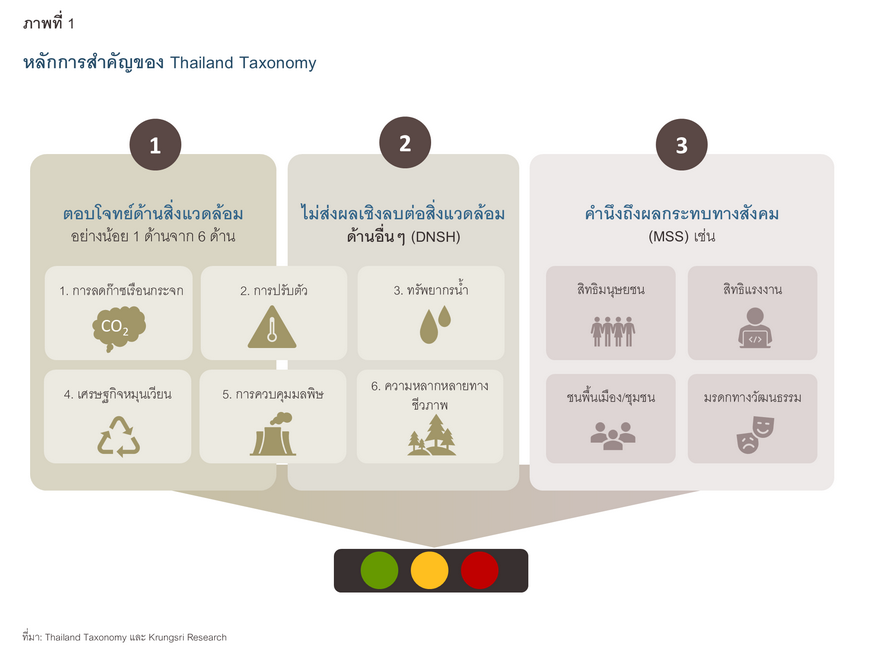 Taxonomy