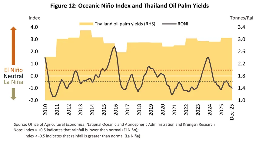 palm oil