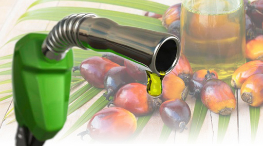 Industry Outlook 2021-2023: Biodiesel