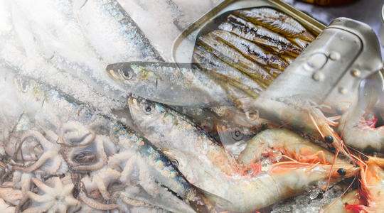 Industry Outlook 2019-2021: Processed Seafood