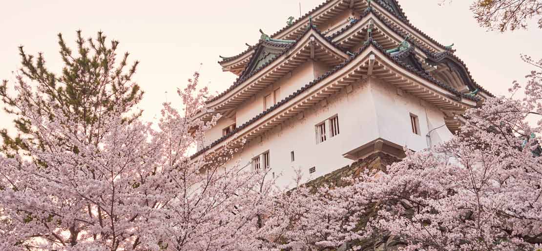 wakayama,japan