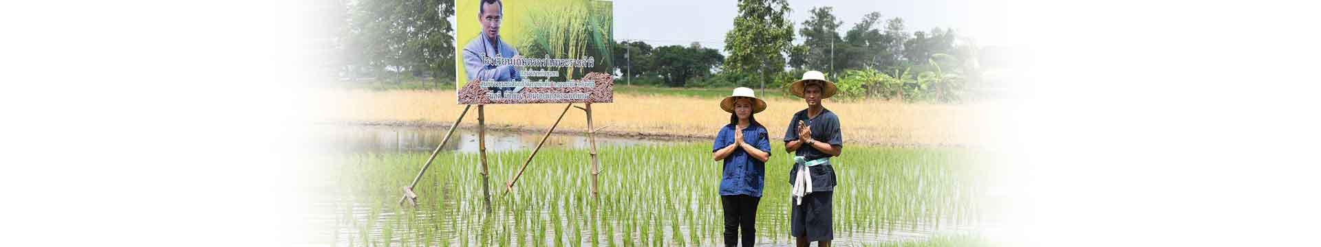 แนวคิดเศรษฐกิจพอเพียง ปรัชญาเศรษฐกิจที่ทำได้จริง