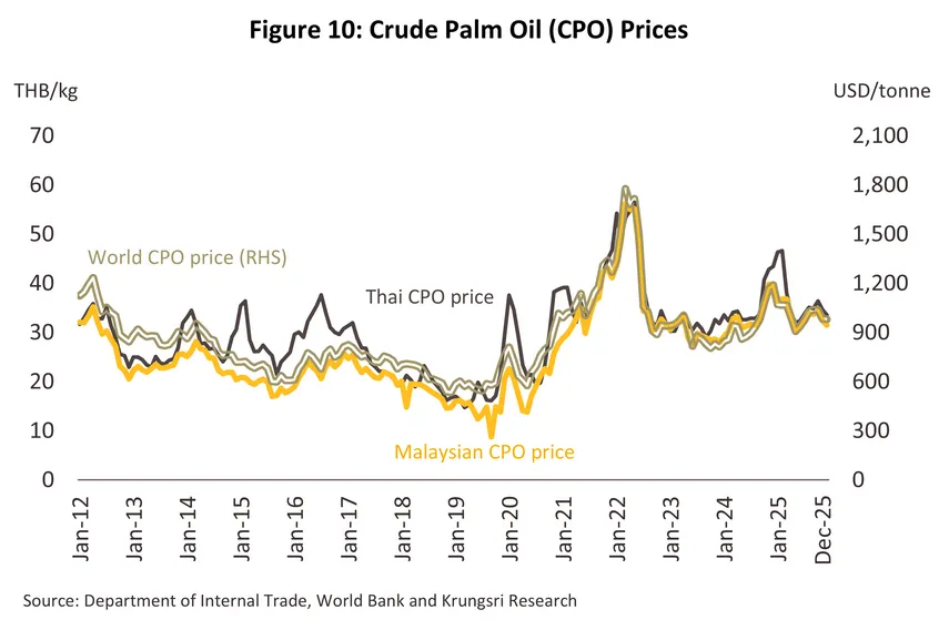 palm oil