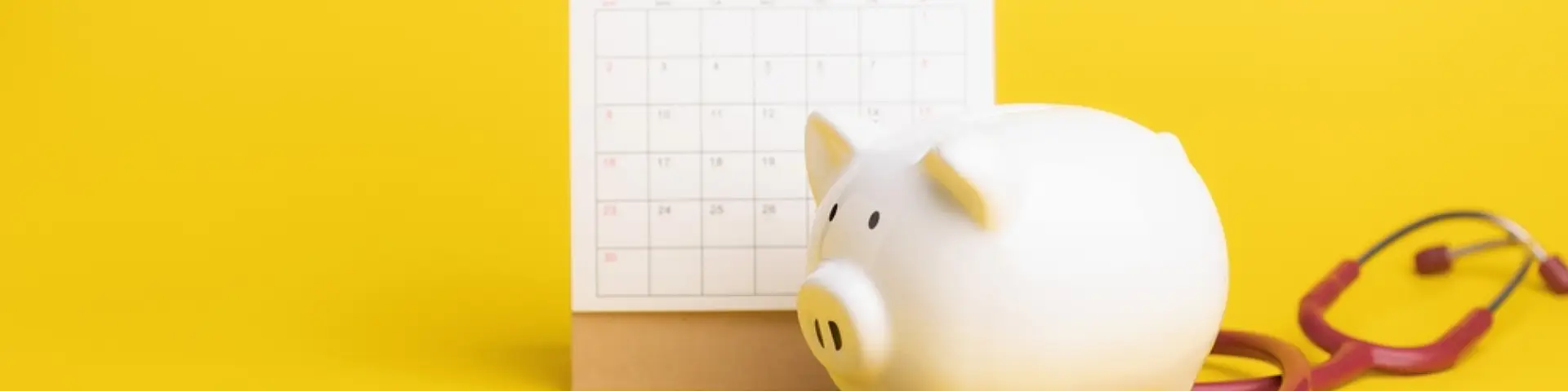 กระปุกหมูสื่อถึงวิธีเช็กสุขภาพทางการเงิน