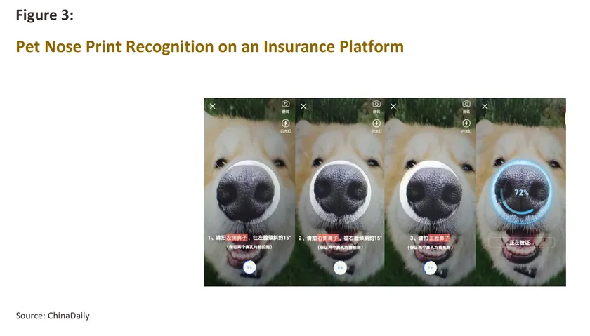 pet economy