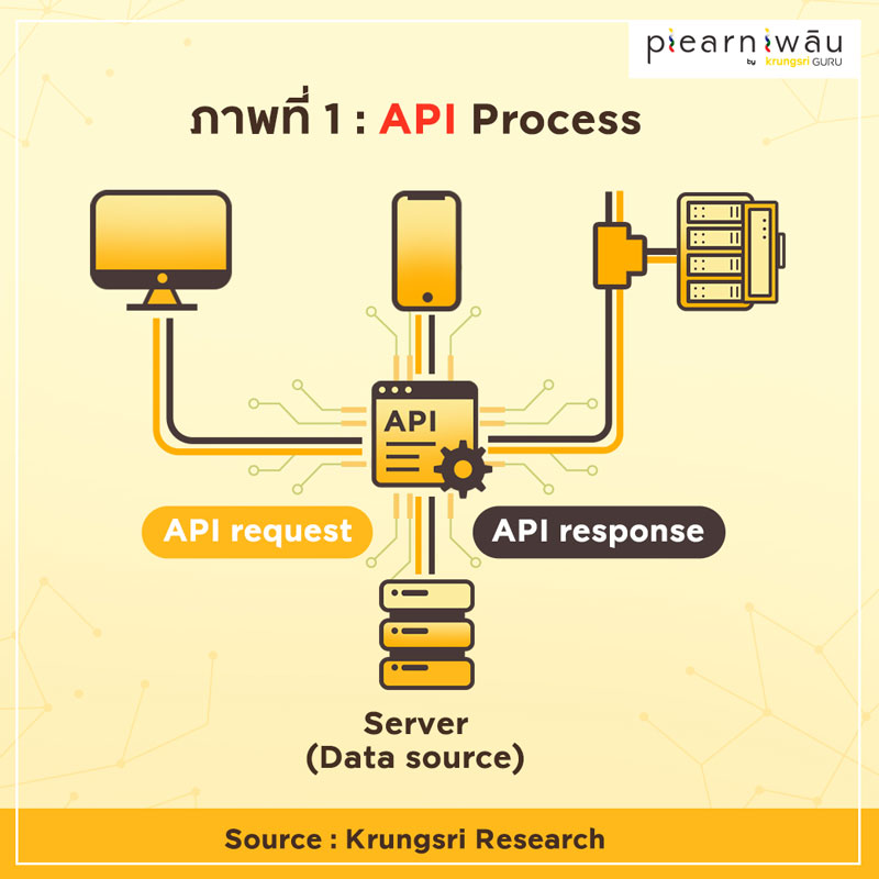 API Process