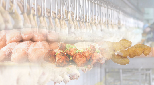 Industry Outlook 2018-2020: Frozen and Processed Chicken