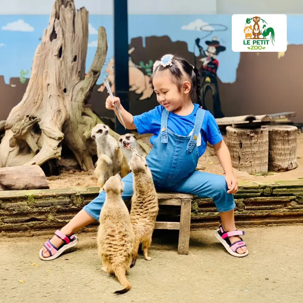 LE PETIT ZOO ส่วนลด 10% One Day Keeper