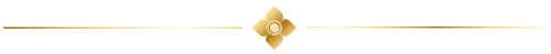 gimmick-gold-line-2025