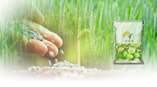 Industry Outlook 2020-2022: Chemicals Fertilizers