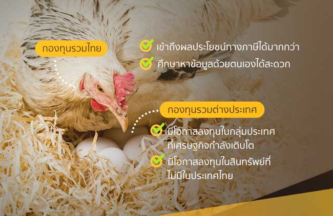 กองทุนรวมไทย VS กองทุนรวมต่างประเทศ เก็บไข่หลายที่ก็ดีเหมือนกันนะ