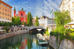dream to travel the world
