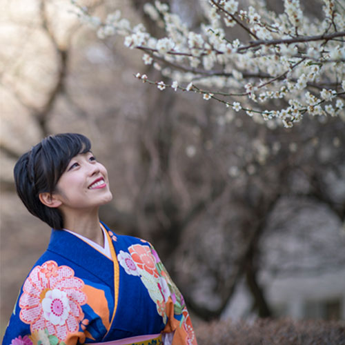 THE COLORS OF JAPANESE FLOWERS - PLUM BLOSSOM ดอกบ๊วย
