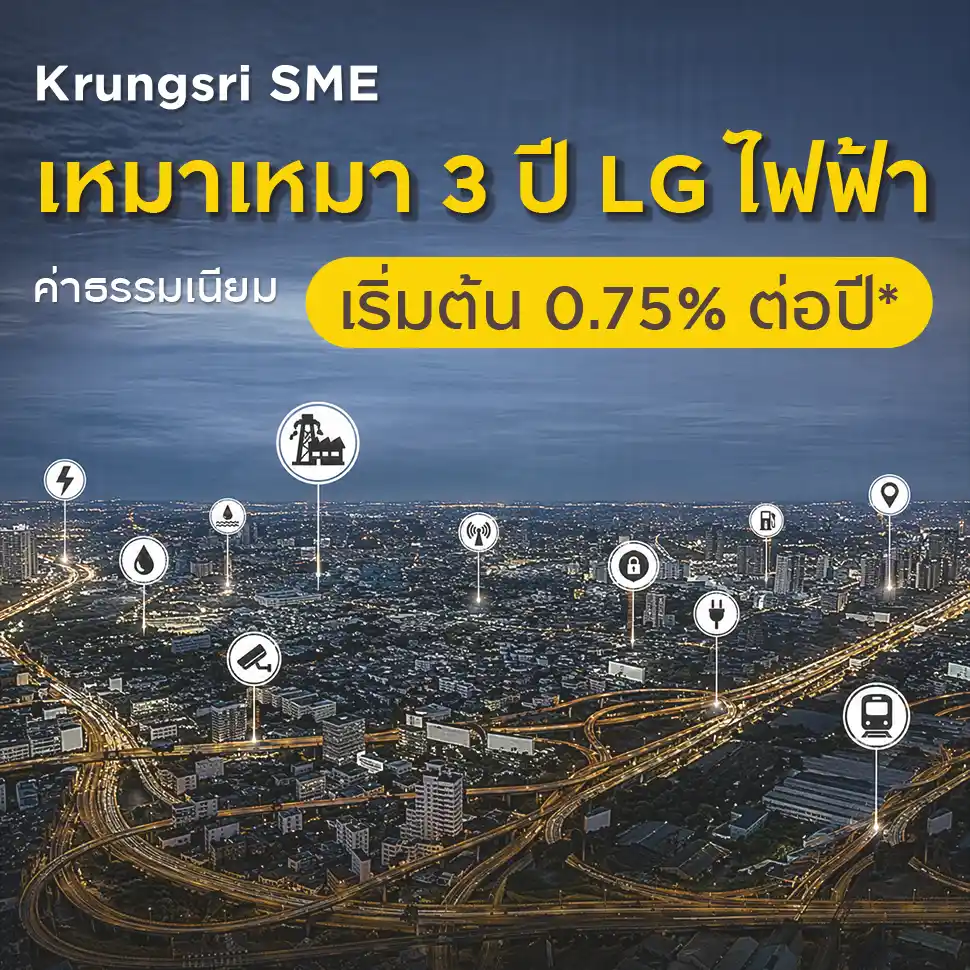 เหมาเหมา 3 ปี LG ไฟฟ้า