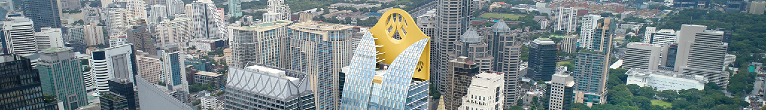 Shareholder