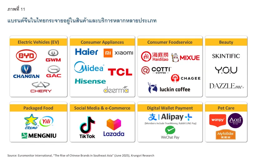 Chinese Investment