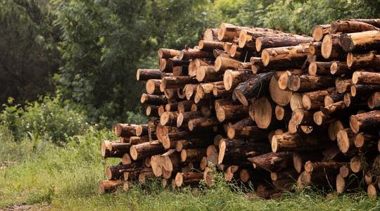 ‘EUDR’ Ensuring that Exports to the EU are Deforestation-free