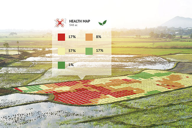Smart Farming เกษตรอัจฉริยะ ความหวังใหม่ของเกษตรกรไทย