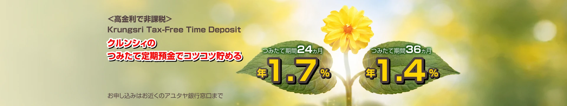 Krungsri 24-Month Tax-Free Time Deposit