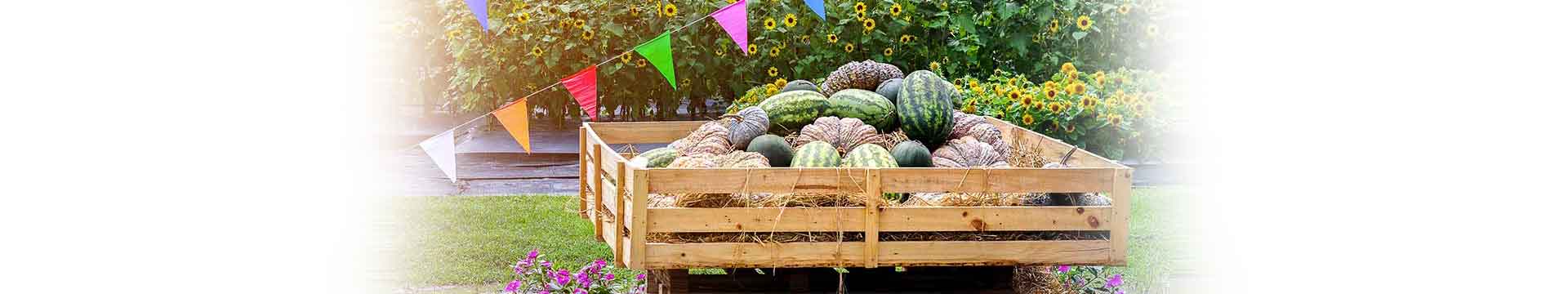 อะไรทำให้ BIOFACH กลายเป็นผู้นำงานแฟร์ออร์แกนิคที่ใหญ่ที่สุดในโลก