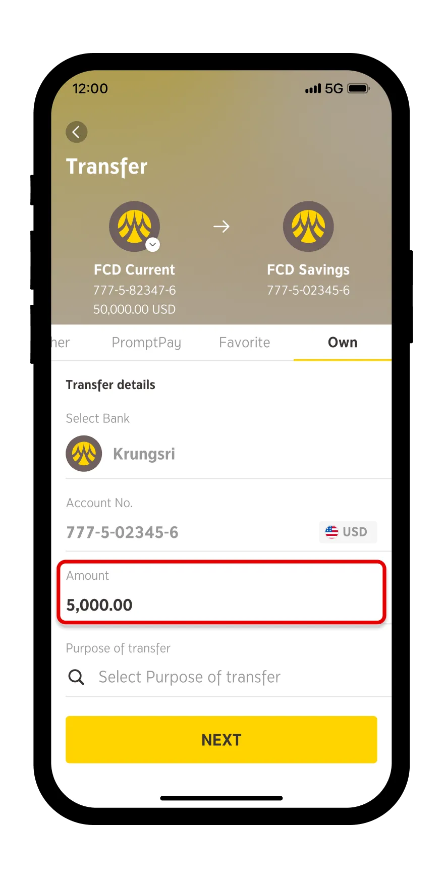 Enter transfer amount select